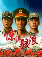 该片定名为《李小龙》(Bruce Lee)。